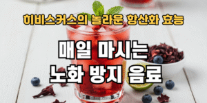 매일 마시는 노화 방지 음료