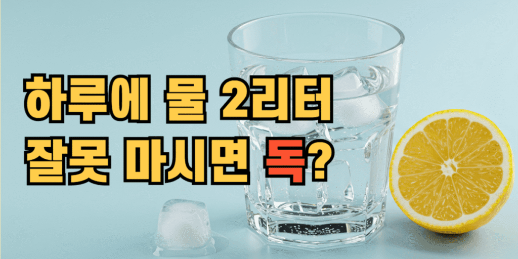 하루에 물 2리터 잘못 마시면 독
