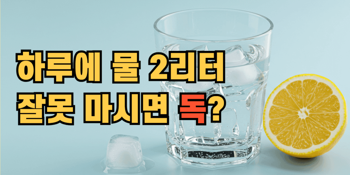 하루에 물 2리터 잘못 마시면 독