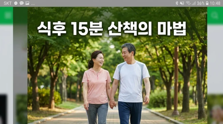 식후 산책 효과 및 식후 운동 타이밍 근감소증 예방 핵심 가이드