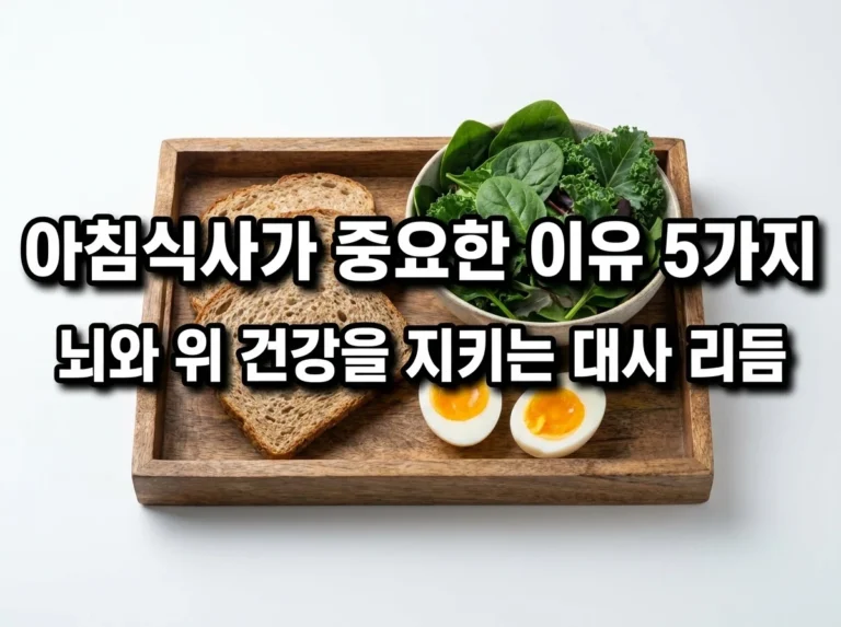 아침식사가 중요한 이유 5가지: 뇌, 혈당, 위장, 체중 관리 기준으로 정리