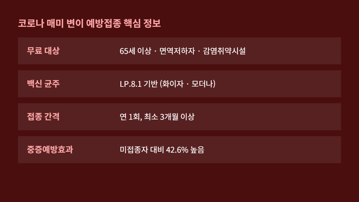 코로나 매미 변이 예방접종 무료 대상과 백신 정보