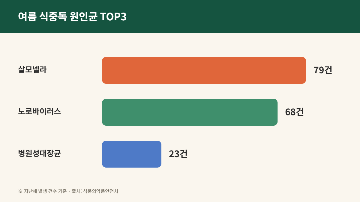 여름 식중독 원인균 살모넬라 노로바이러스 병원성대장균 비교