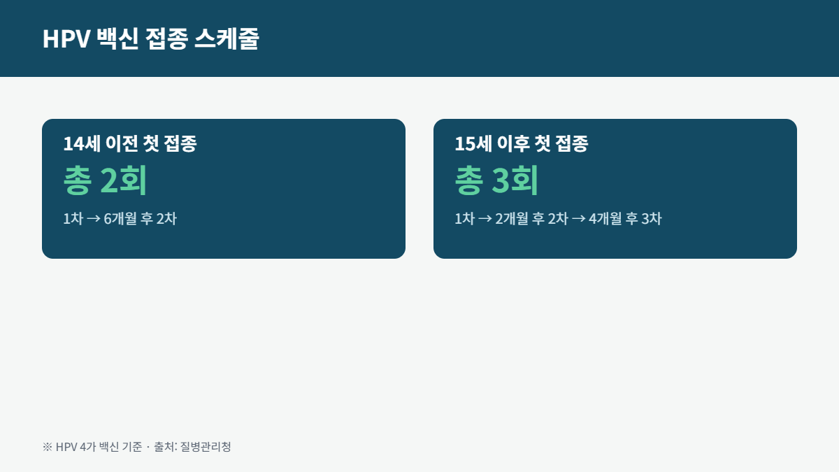 HPV 백신 접종 스케줄 14세 이전과 15세 이후 비교